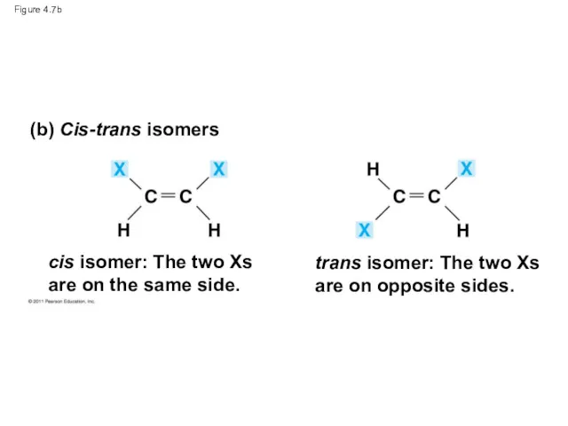 Figure 4.7b (b) Cis-trans isomers cis isomer: The two Xs