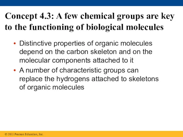 Concept 4.3: A few chemical groups are key to the