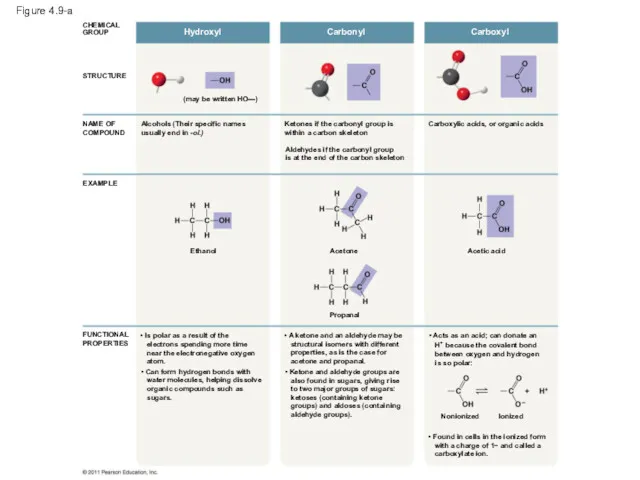 Figure 4.9-a STRUCTURE CHEMICAL GROUP Hydroxyl NAME OF COMPOUND EXAMPLE