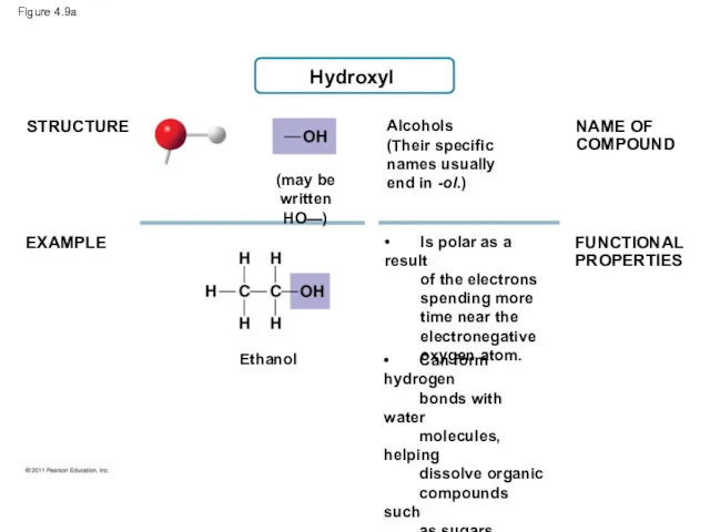Figure 4.9a STRUCTURE EXAMPLE Alcohols (Their specific names usually end