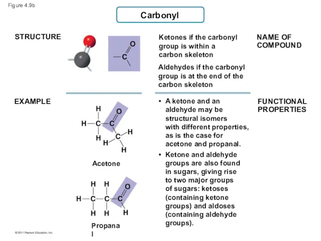 Figure 4.9b Carbonyl STRUCTURE EXAMPLE Ketones if the carbonyl group