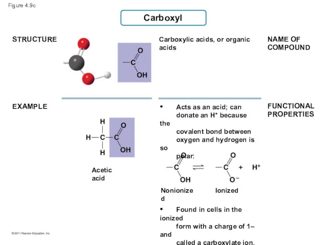 Carboxyl STRUCTURE EXAMPLE Carboxylic acids, or organic acids NAME OF