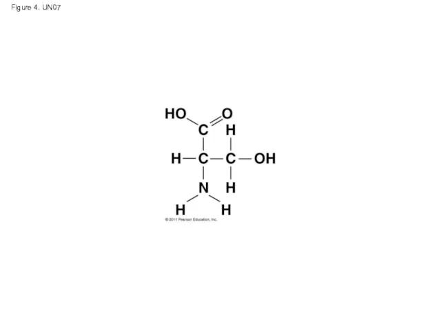 Figure 4. UN07