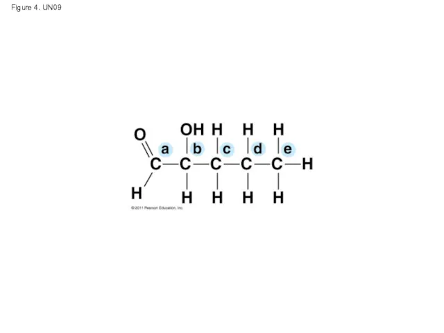 Figure 4. UN09