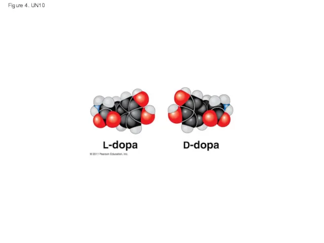 Figure 4. UN10