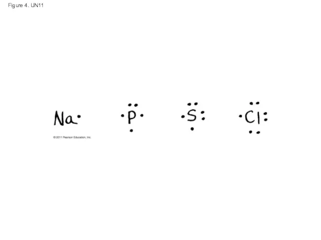 Figure 4. UN11