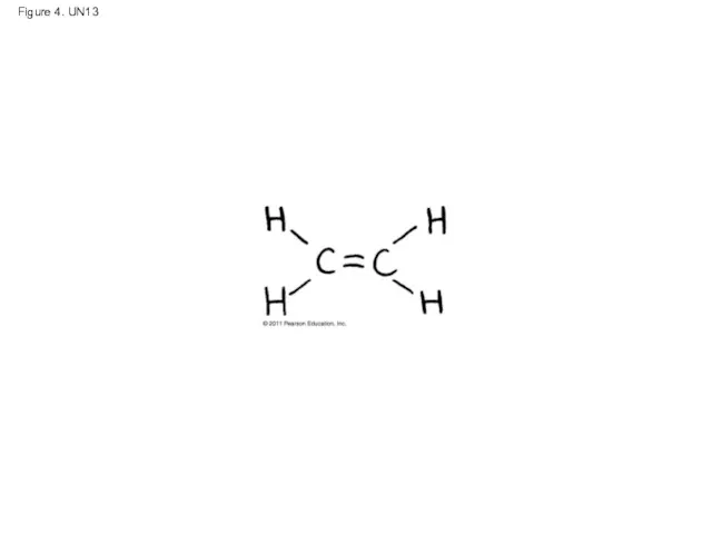 Figure 4. UN13