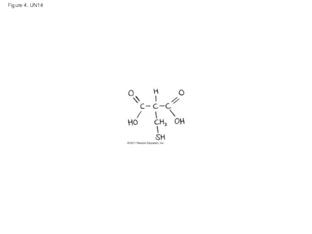 Figure 4. UN14