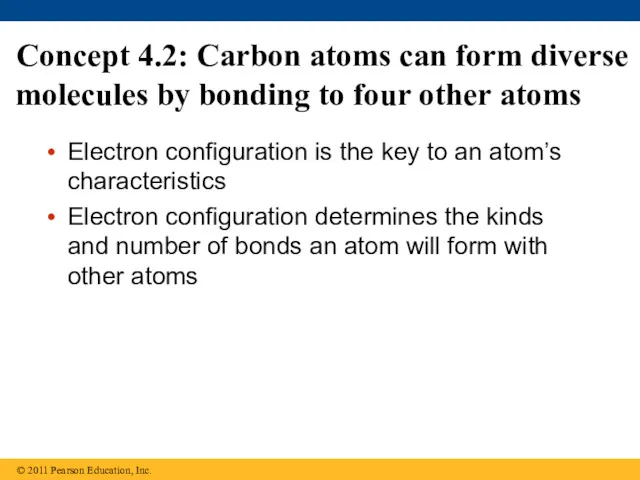 Concept 4.2: Carbon atoms can form diverse molecules by bonding