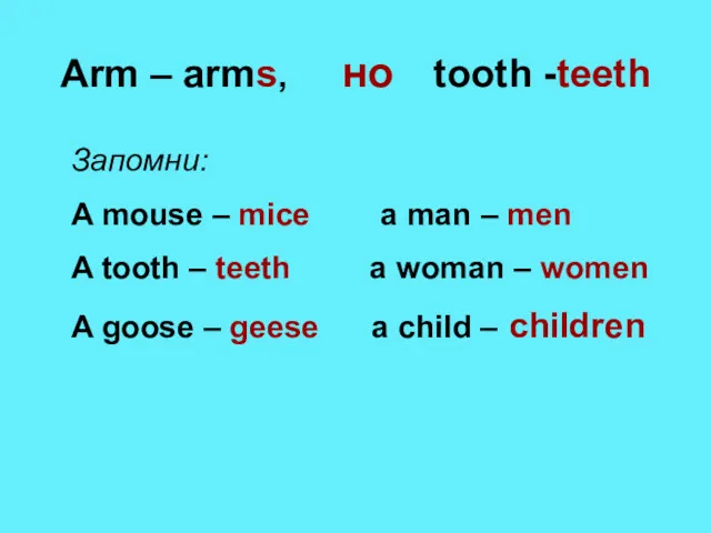 Arm – arms, но tooth -teeth Запомни: A mouse –