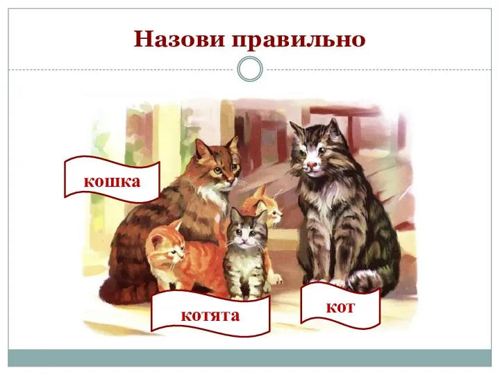 Назови правильно кот кошка котята