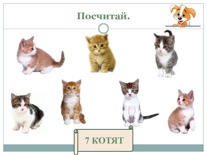 Посчитай. 7 КОТЯТ