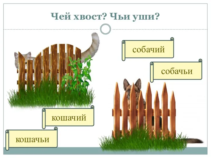 Чей хвост? Чьи уши? собачий собачьи кошачий кошачьи