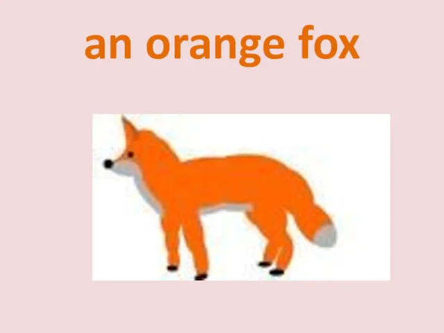 an orange fox