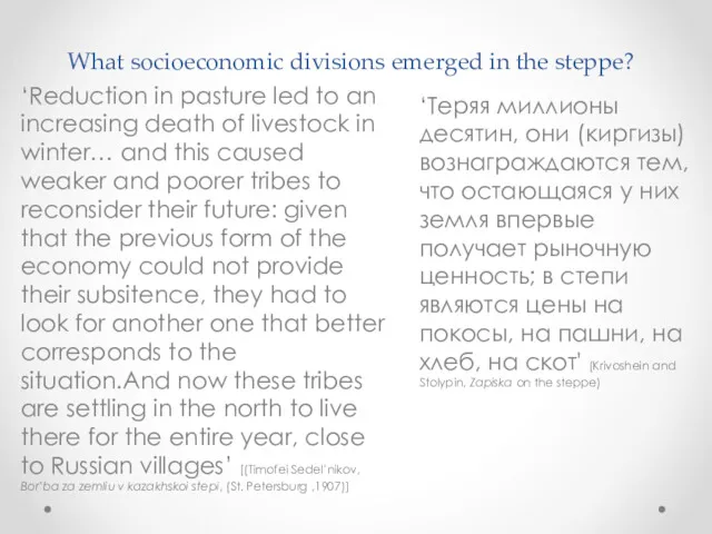 What socioeconomic divisions emerged in the steppe? ‘Теряя миллионы десятин,