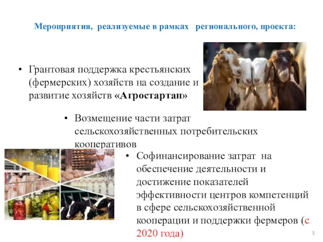 Мероприятия, реализуемые в рамках регионального, проекта: Грантовая поддержка крестьянских (фермерских)