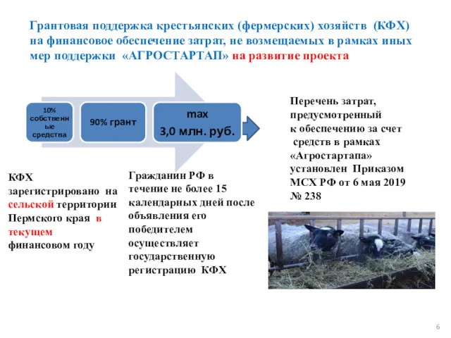 Грантовая поддержка крестьянских (фермерских) хозяйств (КФХ) на финансовое обеспечение затрат,