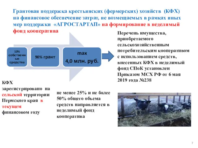 Грантовая поддержка крестьянских (фермерских) хозяйств (КФХ) на финансовое обеспечение затрат,