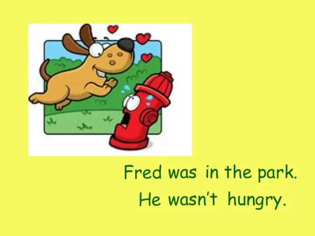 Fred He in the park. was wasn’t hungry.