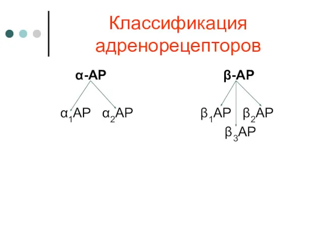 Классификация адренорецепторов α-АР β-АР α1АР α2АР β1АР β2АР β3АР