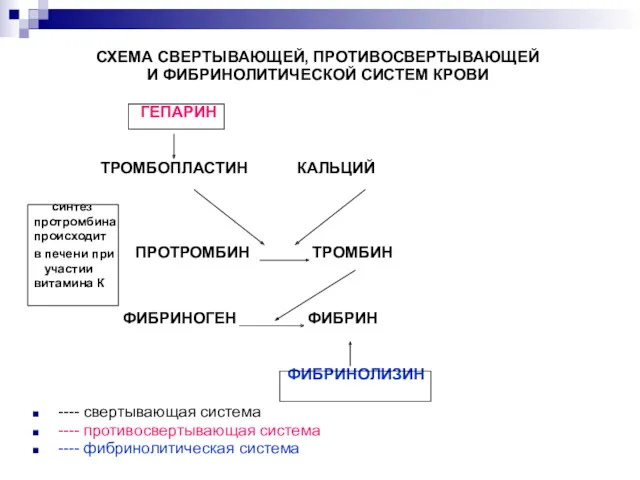 СХЕМА СВЕРТЫВАЮЩЕЙ, ПРОТИВОСВЕРТЫВАЮЩЕЙ И ФИБРИНОЛИТИЧЕСКОЙ СИСТЕМ КРОВИ ГЕПАРИН ТРОМБОПЛАСТИН КАЛЬЦИЙ