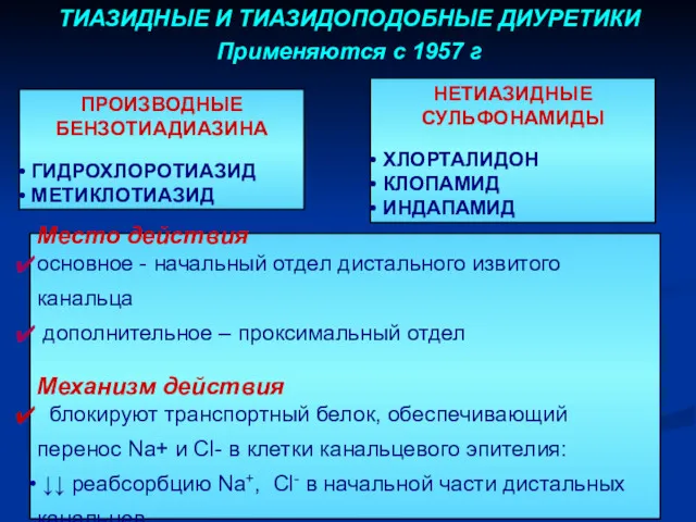 Место действия основное - начальный отдел дистального извитого канальца дополнительное