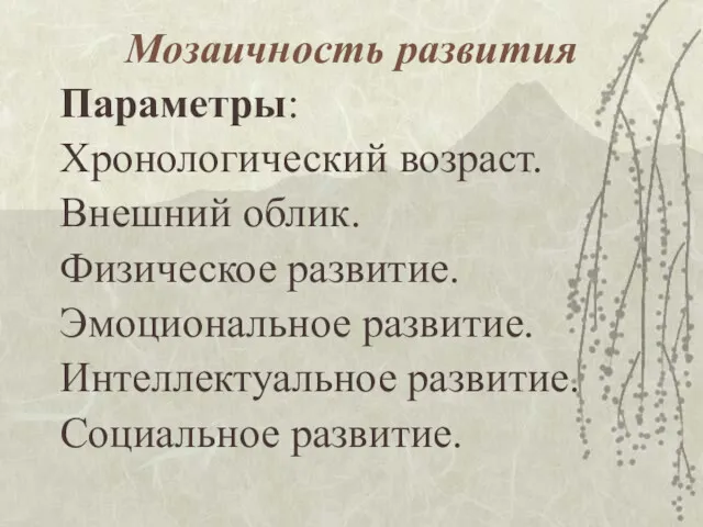 Мозаичность развития Параметры: Хронологический возраст. Внешний облик. Физическое развитие. Эмоциональное развитие. Интеллектуальное развитие. Социальное развитие.