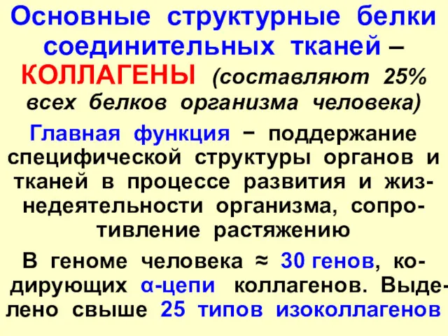 Основные структурные белки соединительных тканей – КОЛЛАГЕНЫ (составляют 25% всех белков организма человека)