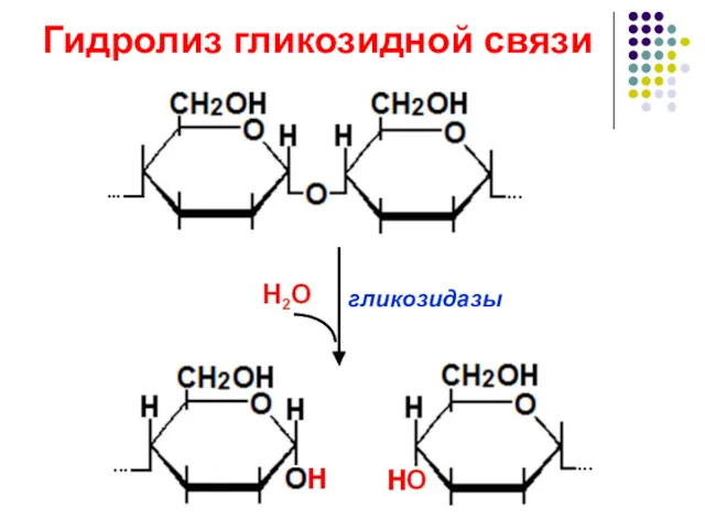 Гидролиз гликозидной связи гликозидазы