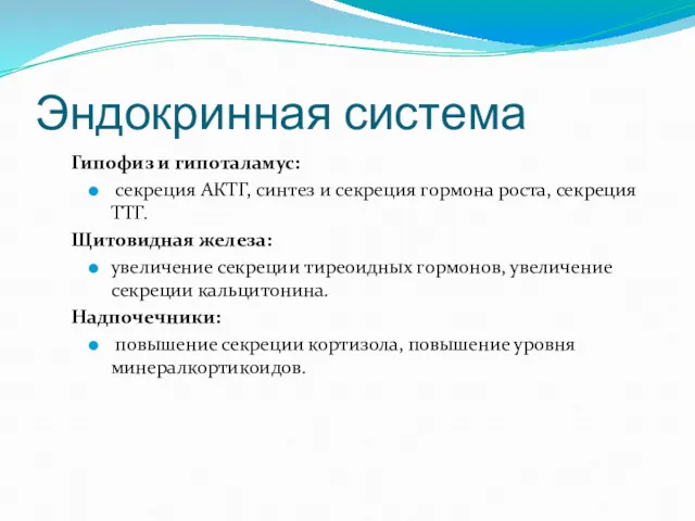 Эндокринная система Гипофиз и гипоталамус: секреция АКТГ, синтез и секреция