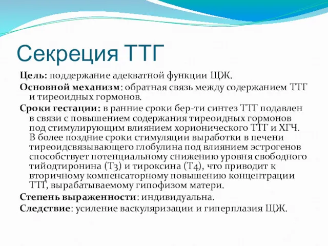 Секреция ТТГ Цель: поддержание адекватной функции ЩЖ. Основной механизм: обратная