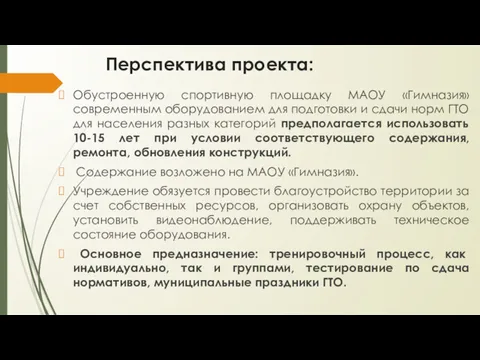 Перспектива проекта: Обустроенную спортивную площадку МАОУ «Гимназия» современным оборудованием для