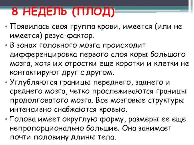 8 НЕДЕЛЬ (ПЛОД) Появилась своя группа крови, имеется (или не