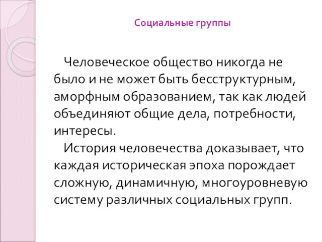 Социальные группы Человеческое общество никогда не было и не может