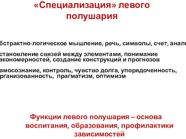 «Специализация» левого полушария Функции левого полушария – основа воспитания, образования,