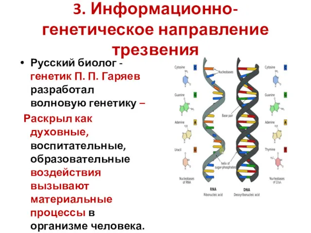 3. Информационно-генетическое направление трезвения Русский биолог - генетик П. П.