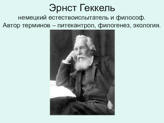 Эрнст Геккель немецкий естествоиспытатель и философ. Автор терминов – питекантроп, филогенез, экология.