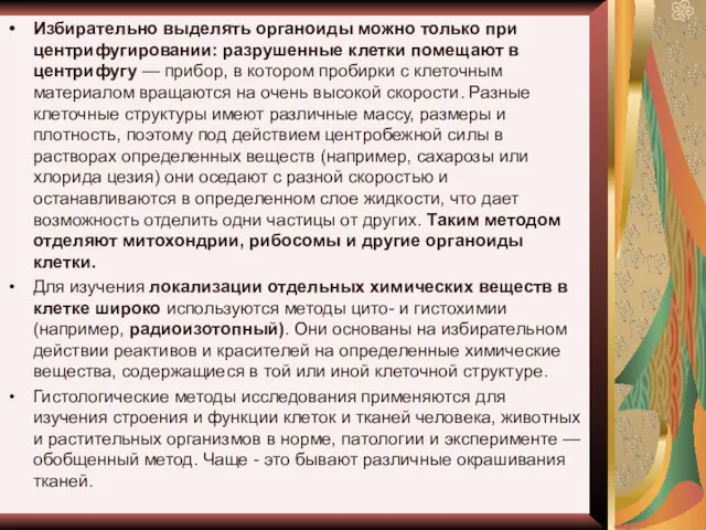 Избирательно выделять органоиды можно только при центрифугировании: разрушенные клетки помещают