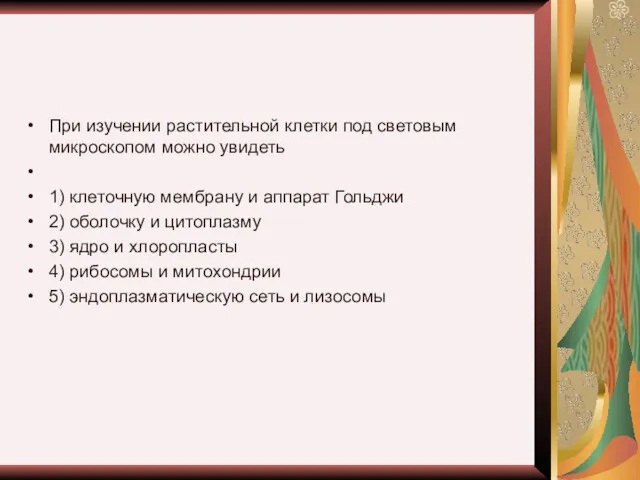 При изучении растительной клетки под световым микроскопом можно увидеть 1)