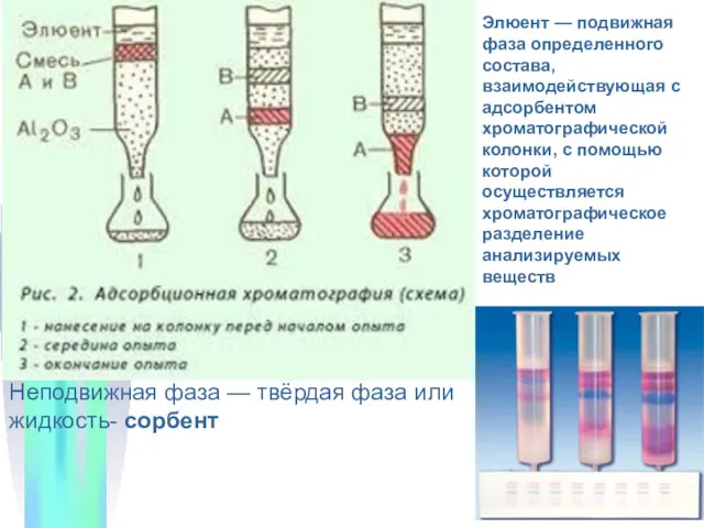 Элюент — подвижная фаза определенного состава, взаимодействующая с адсорбентом хроматографической