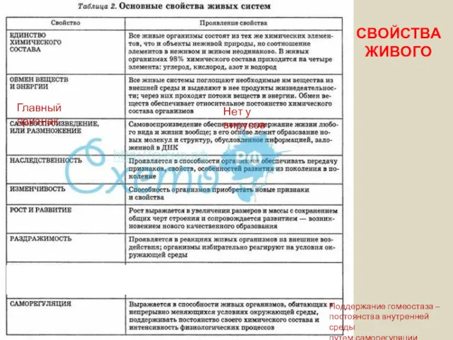 СВОЙСТВА ЖИВОГО Поддержание гомеостаза – постоянства внутренней среды путем саморегуляции Главный признак Нет у вирусов