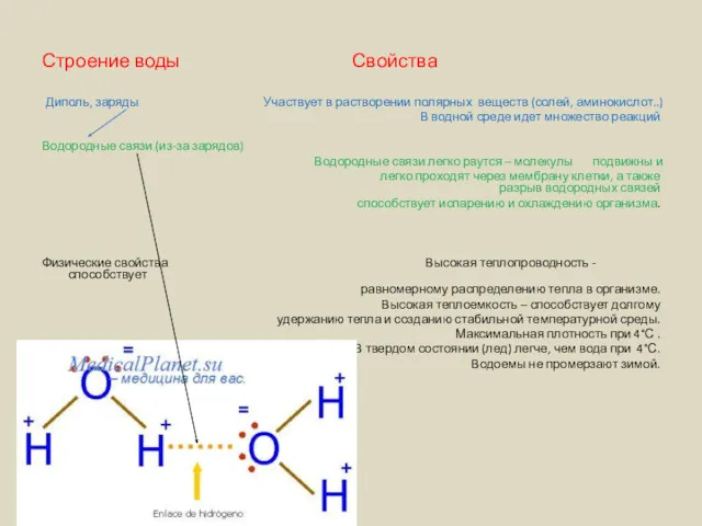 Строение воды Свойства Диполь, заряды Участвует в растворении полярных веществ