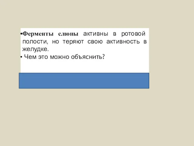 Ферменты слюны активны в ротовой полости, но теряют свою активность