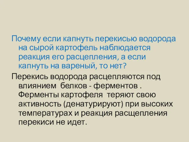 Почему если капнуть перекисью водорода на сырой картофель наблюдается реакция