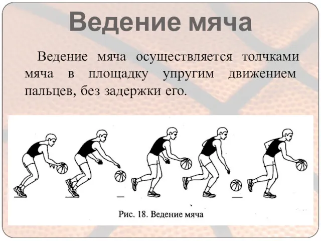 Ведение мяча Ведение мяча осуществляется толчками мяча в площадку упругим движением пальцев, без задержки его.