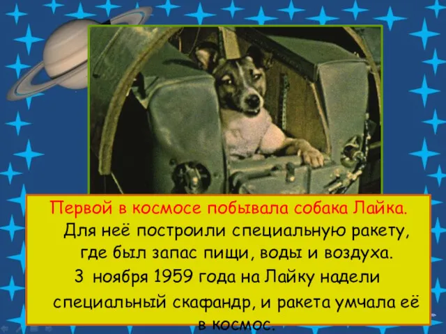 Первой в космосе побывала собака Лайка. Для неё построили специальную