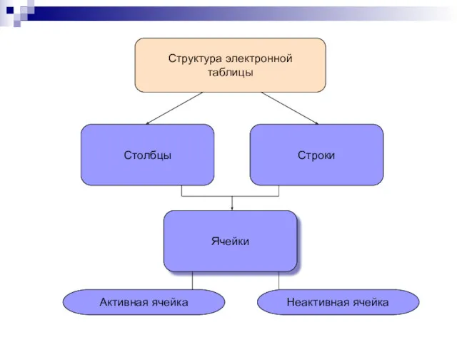 Структура электронной таблицы Столбцы Строки Ячейки Активная ячейка Неактивная ячейка