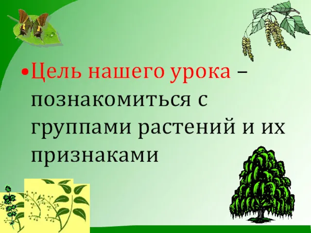 Цель нашего урока – познакомиться с группами растений и их признаками