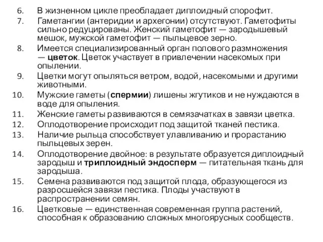 В жизненном цикле преобладает диплоидный спорофит. Гаметангии (антеридии и архегонии)