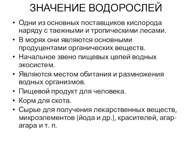 ЗНАЧЕНИЕ ВОДОРОСЛЕЙ Одни из основных поставщиков кислорода наряду с таежными